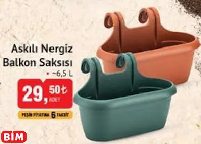 ASKILI NERGİZ BALKON SAKSISI